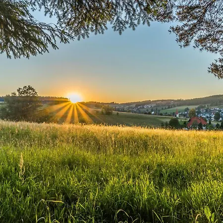 Haus Marianne Duffner * Schonach im Schwarzwald