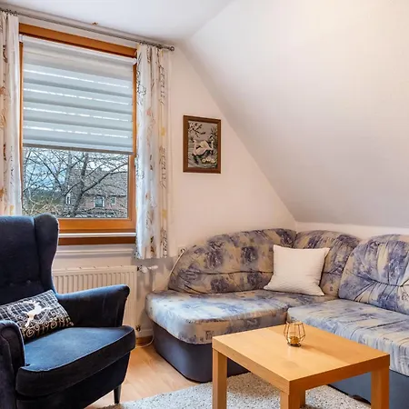 Апартаменты Haus Marianne Duffner Schonach im Schwarzwald