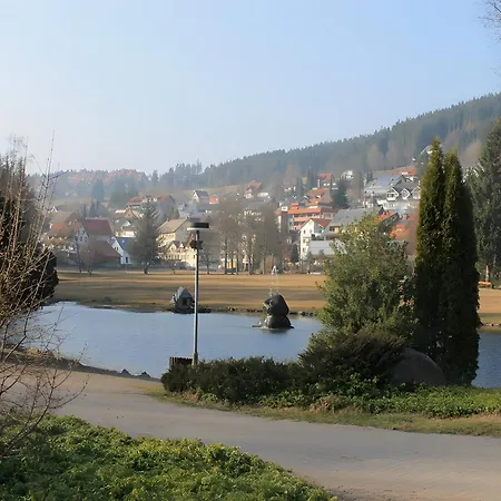 Haus Marianne Duffner Апартаменты Schonach im Schwarzwald